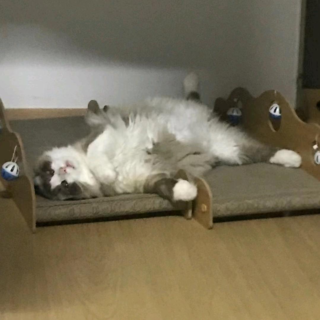 酸辣粉