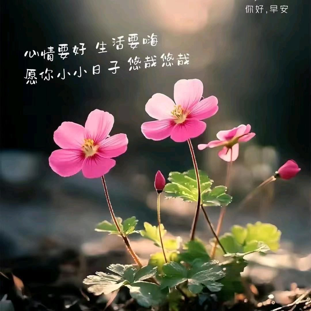 开心过好每一天