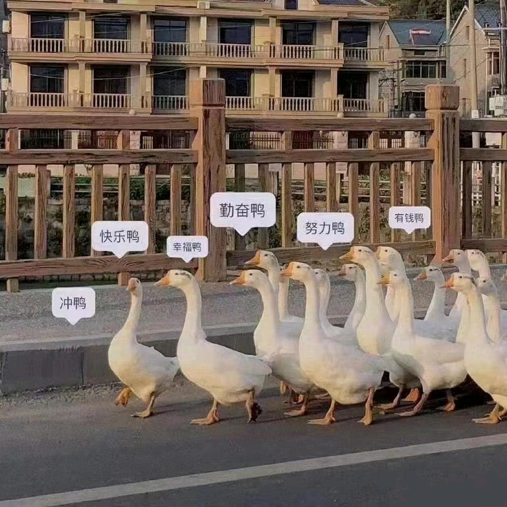 娜么可爱🍭— 生命力