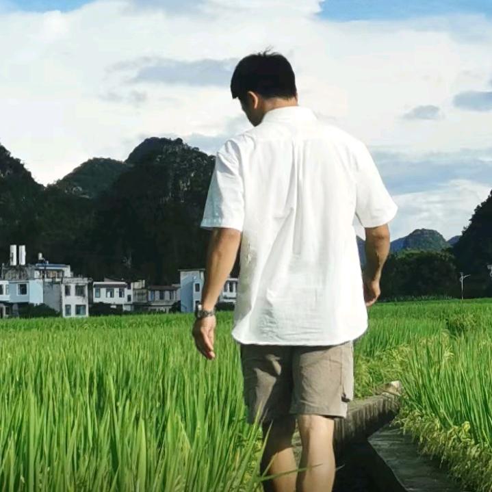 二条