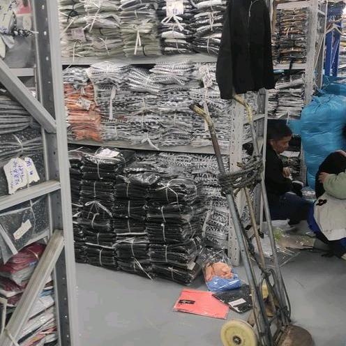 台州小鹦鹉