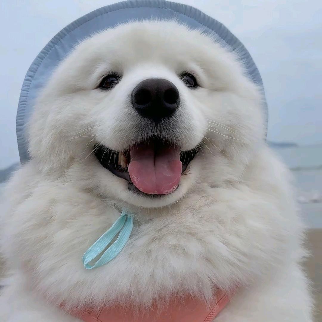 睡个好觉叭