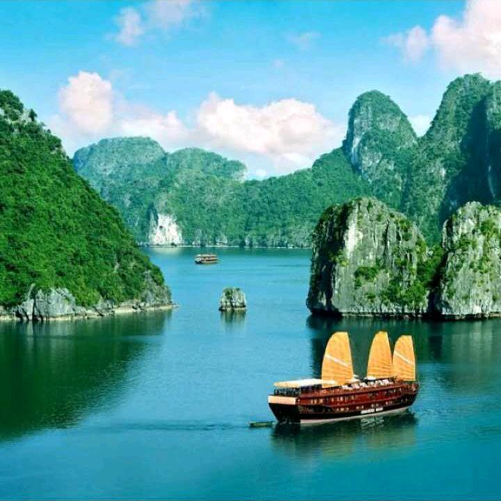 一生幸福东东