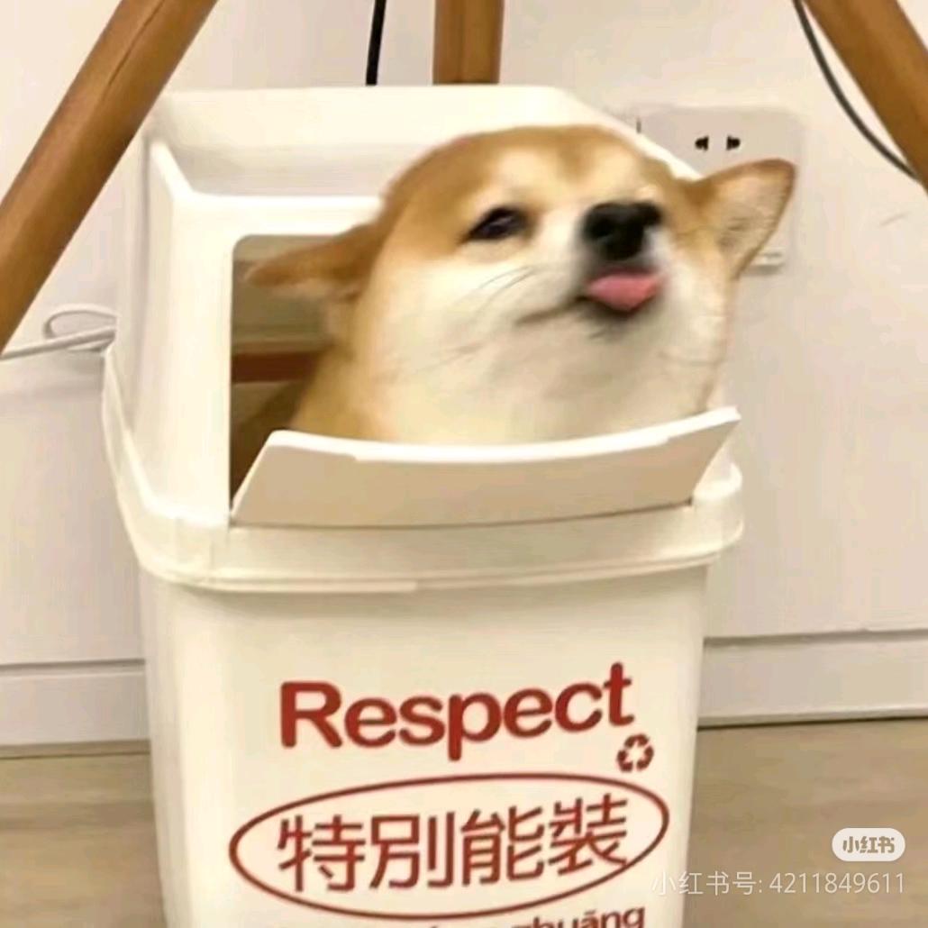 橘柚.🐼