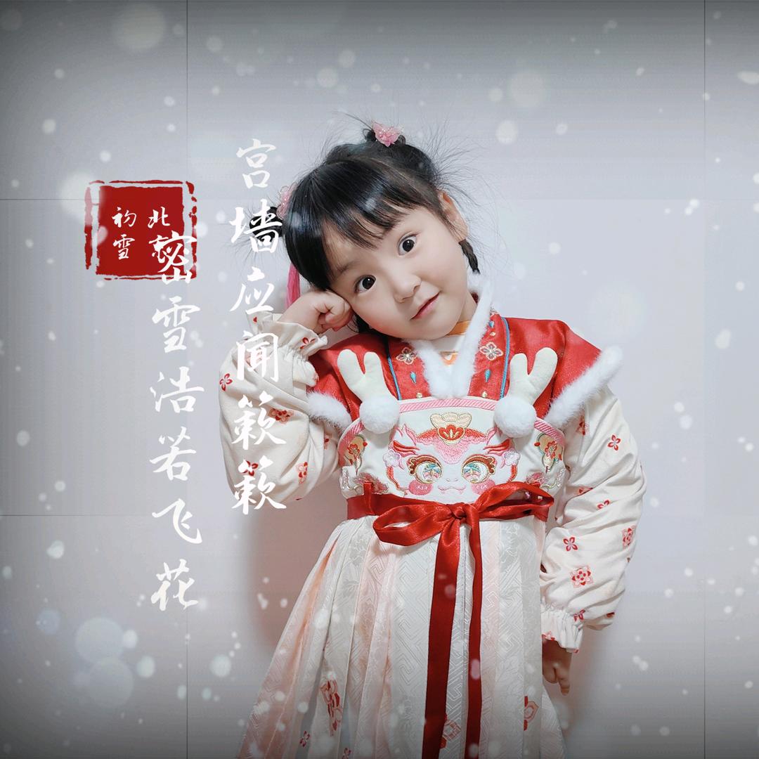 中国人寿王文