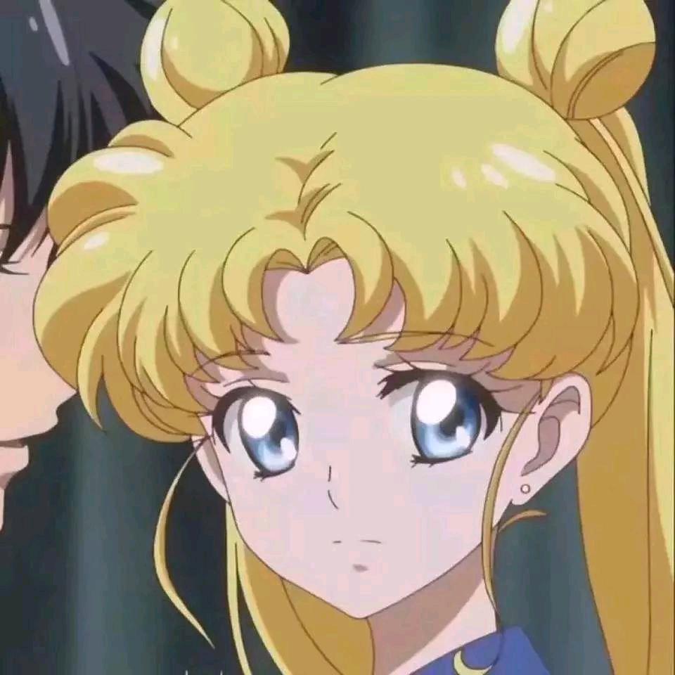 校花来了