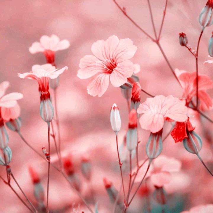 （格式化）、孤单