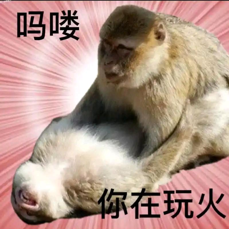 小玲来了售后版