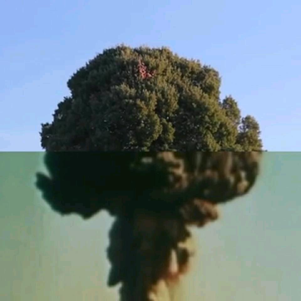 用户1745271369490