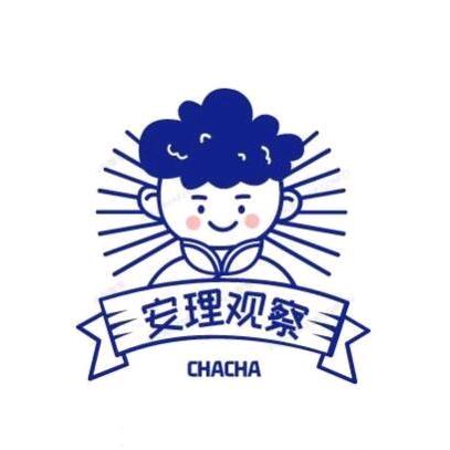 安理察察
