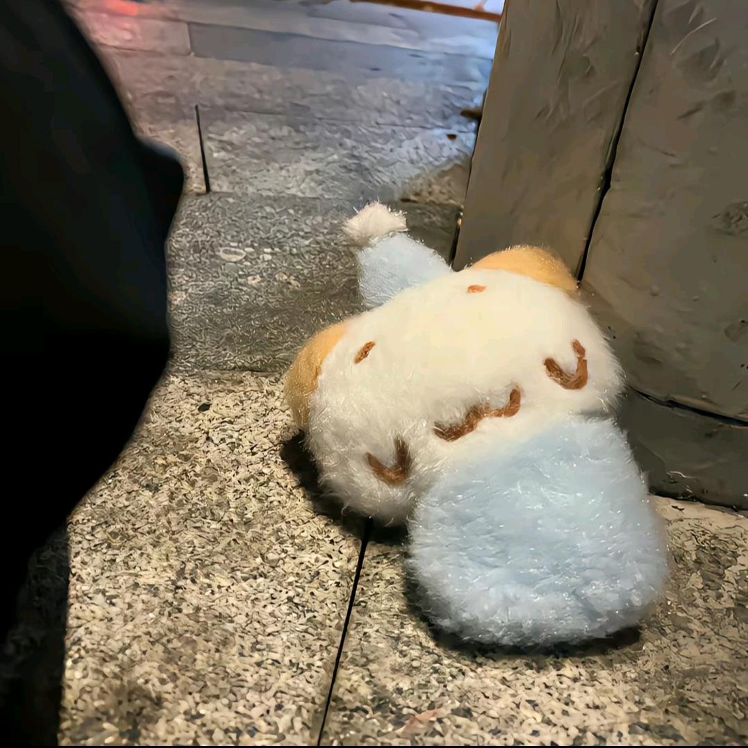 平底锅煎大头鱼ᶻz