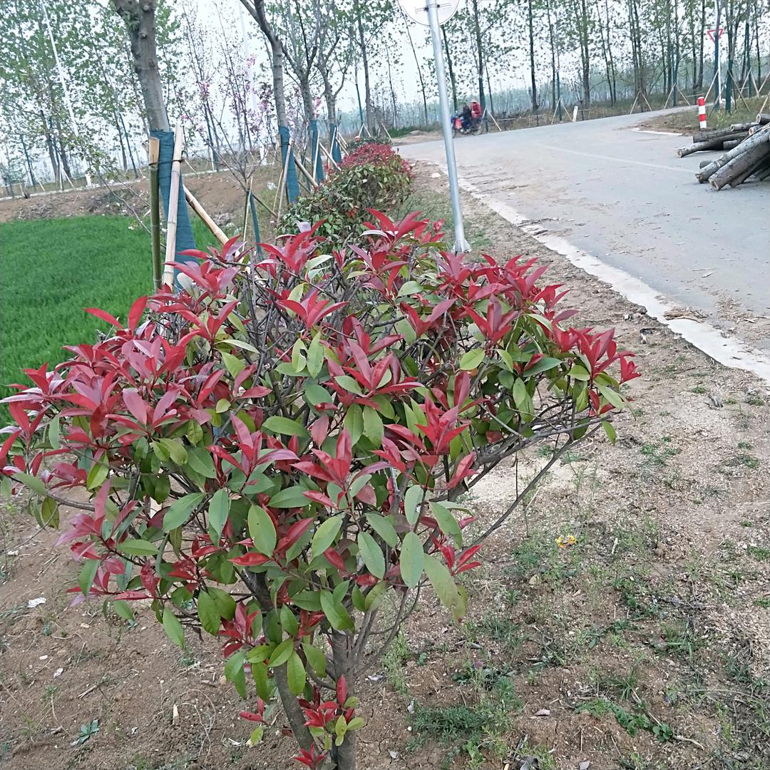 人心难测！人生如戏！