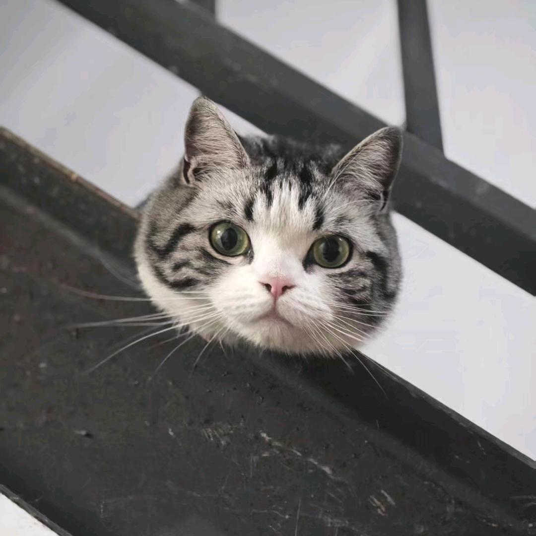 🌈🌈招财日常