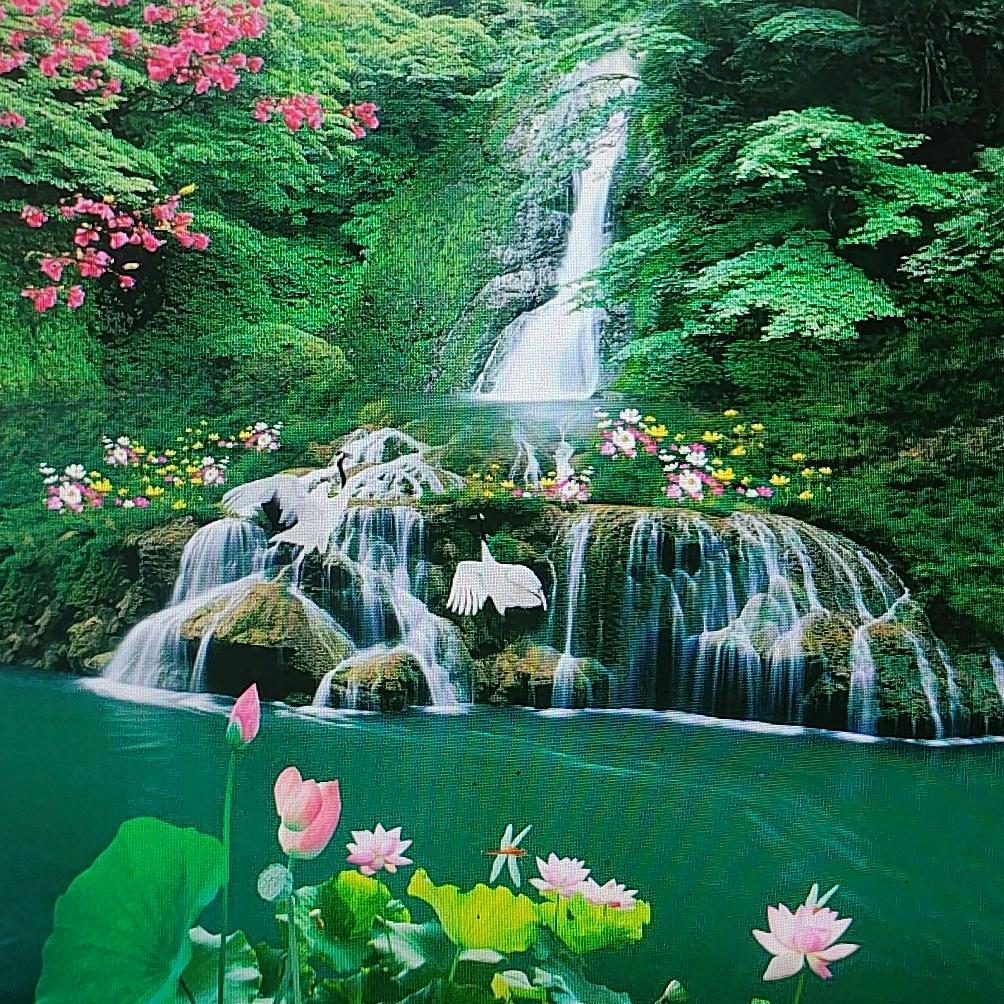 永远是个梦