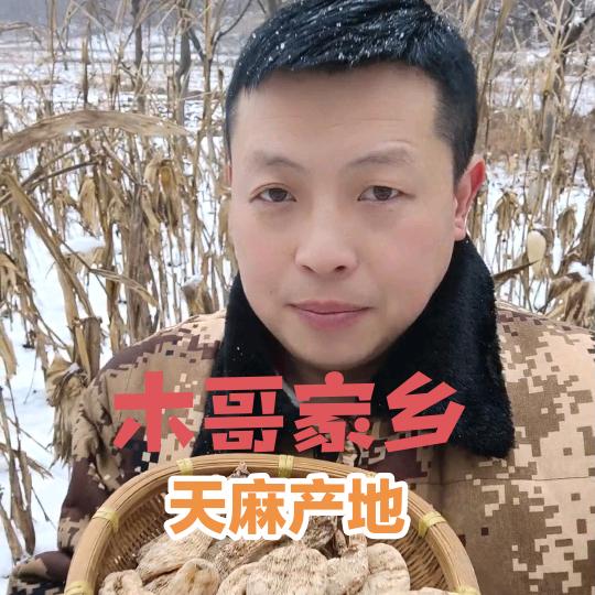 木哥家乡（秦岭野山货）