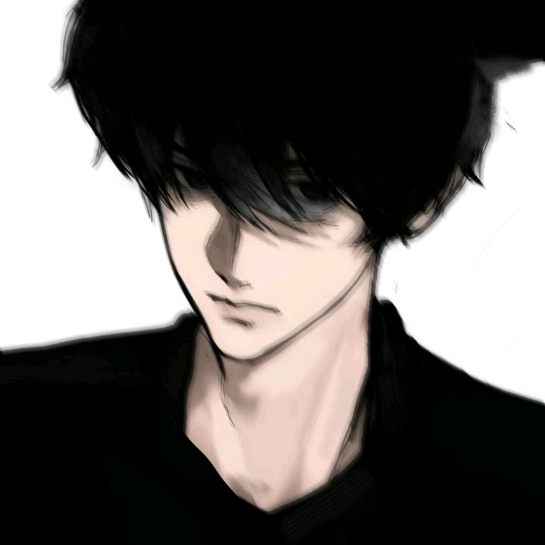 岸与晚风