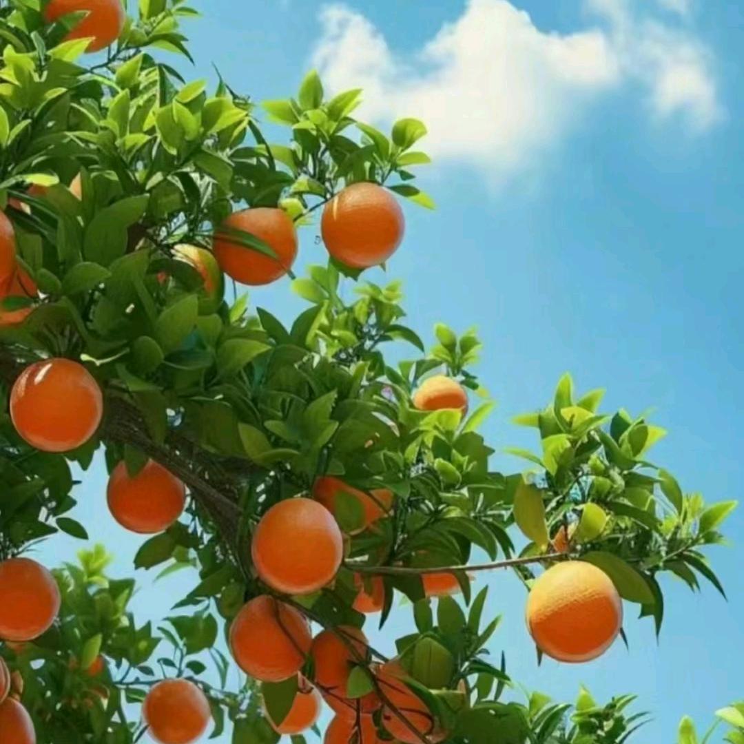 麻瓜升职打怪记