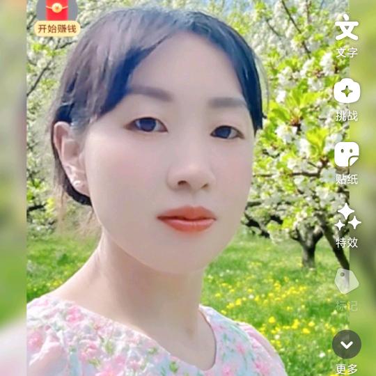wanzHengMei