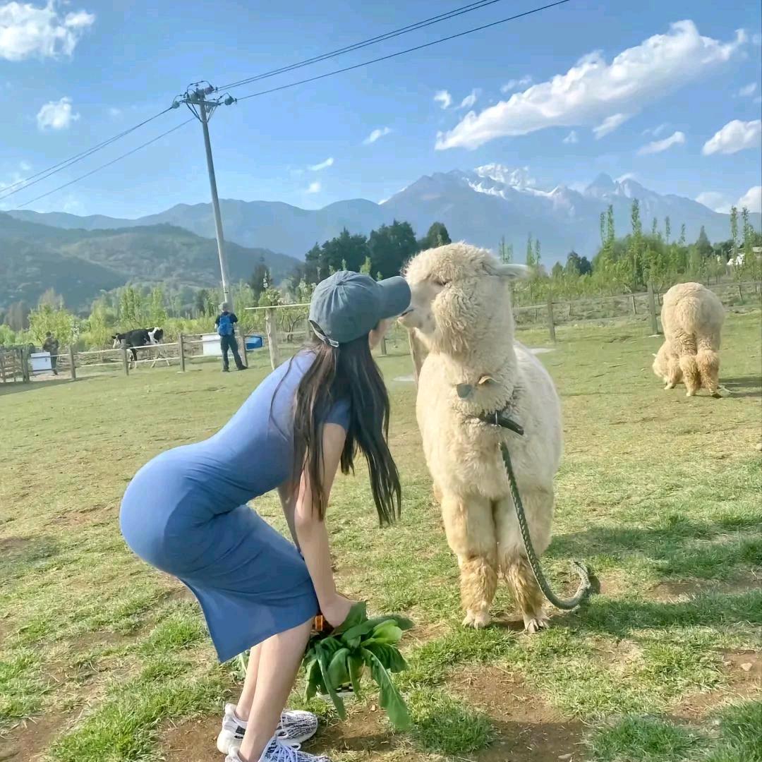 姚静（生命在于运动）