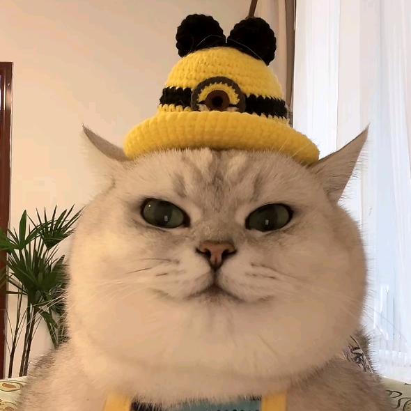 猛男老四