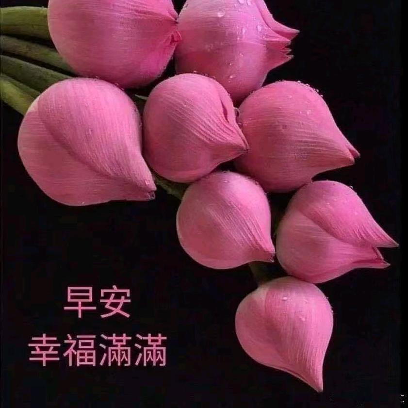 五洲商贸城童鞋