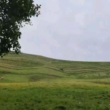 潇洒哥