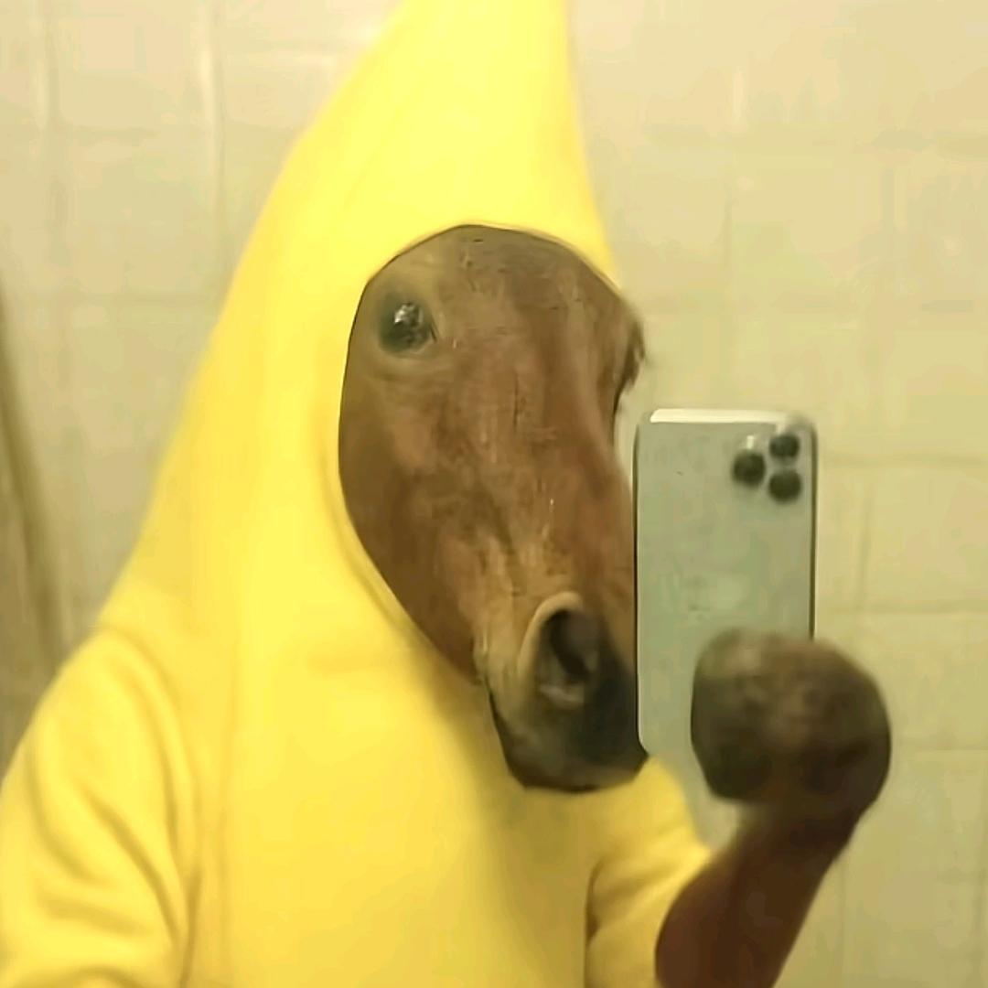 腋毛捆绑蟑螂玩sm