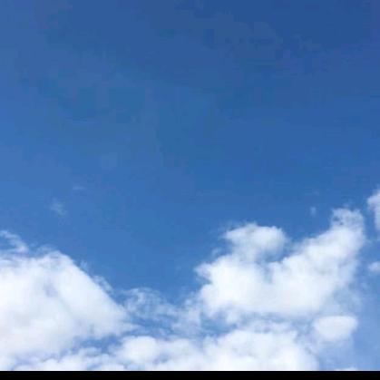 浪浪、