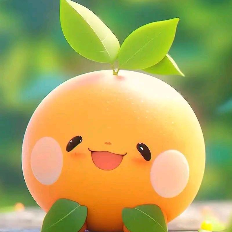 高和璧精选