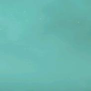 蕾蕾