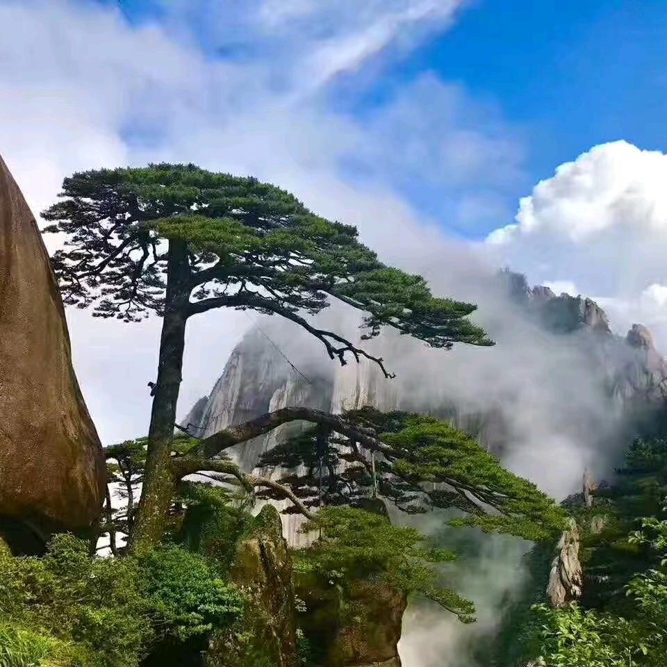 ❤️爱心