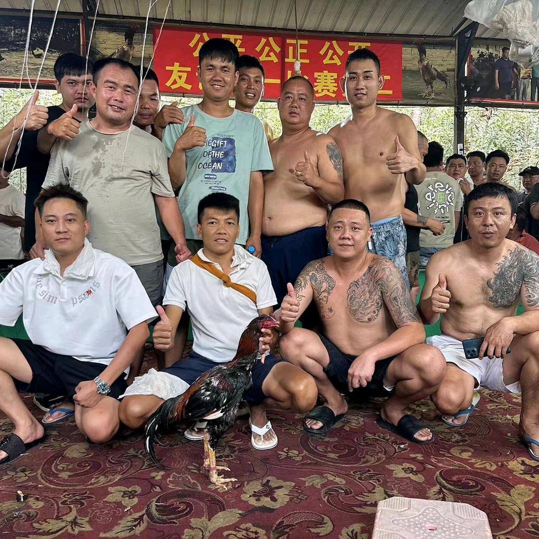 野狼战队 孟连分队 艾依