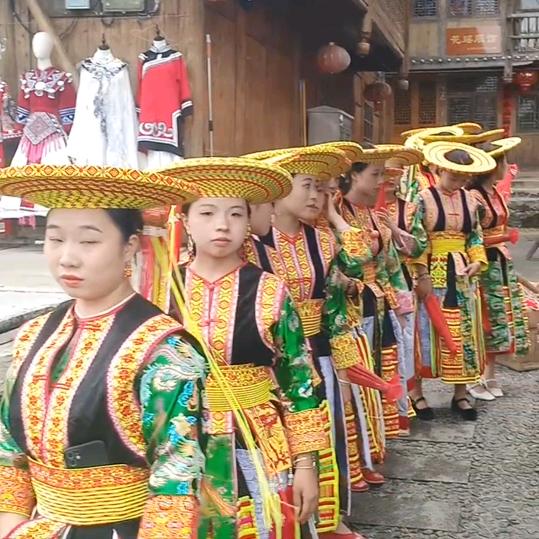 骑着蚊子追飞机