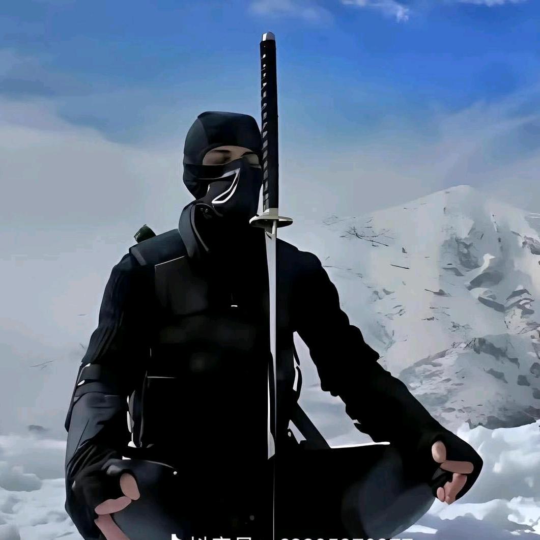 「湖南黑总团队」不良资产清收找车