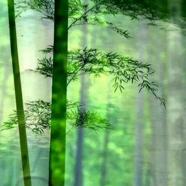 萧云山