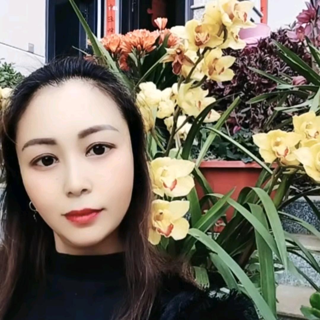 我是愤怒的小鸟