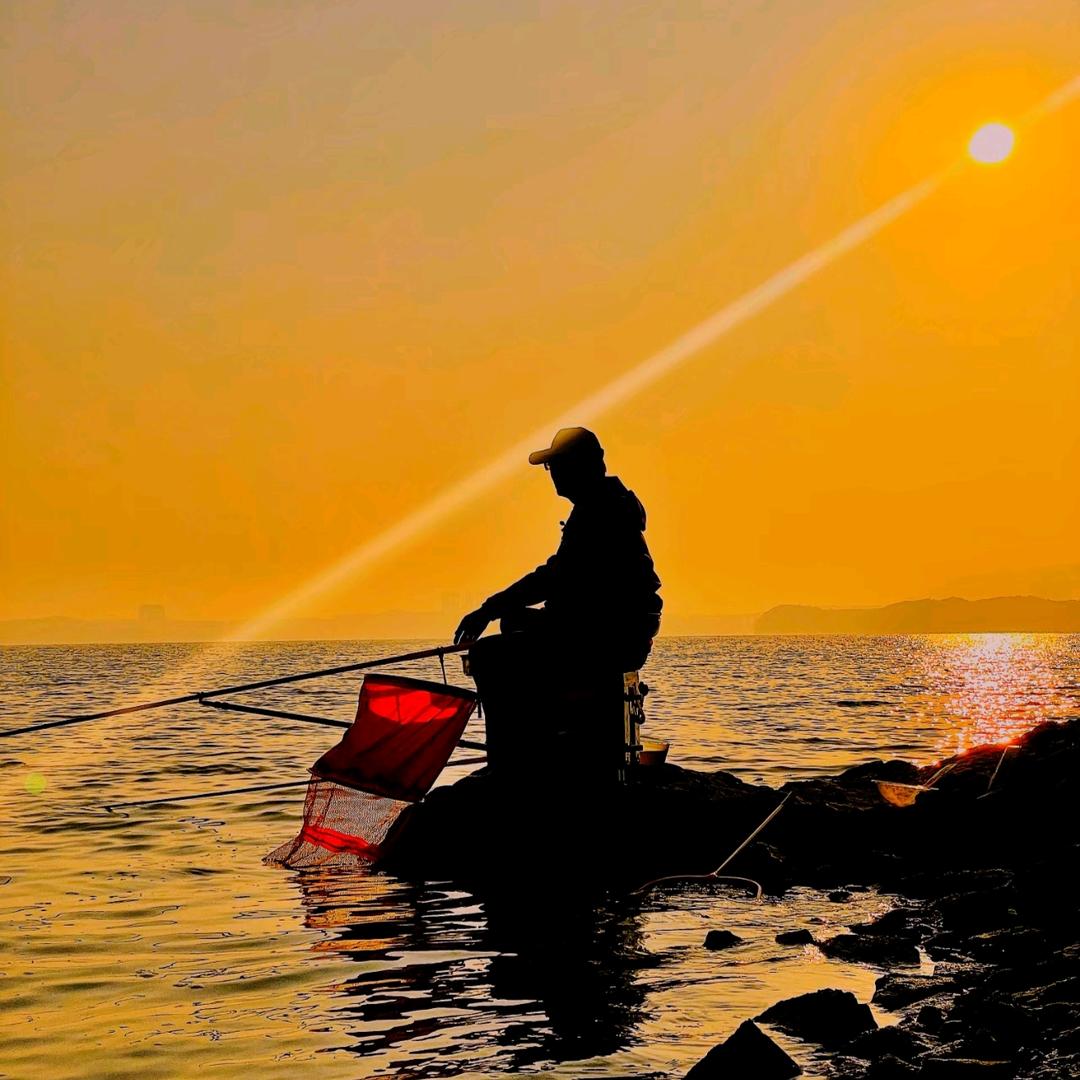 老张爱钓鱼🎣