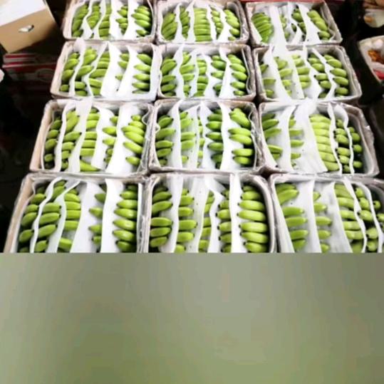 招虎