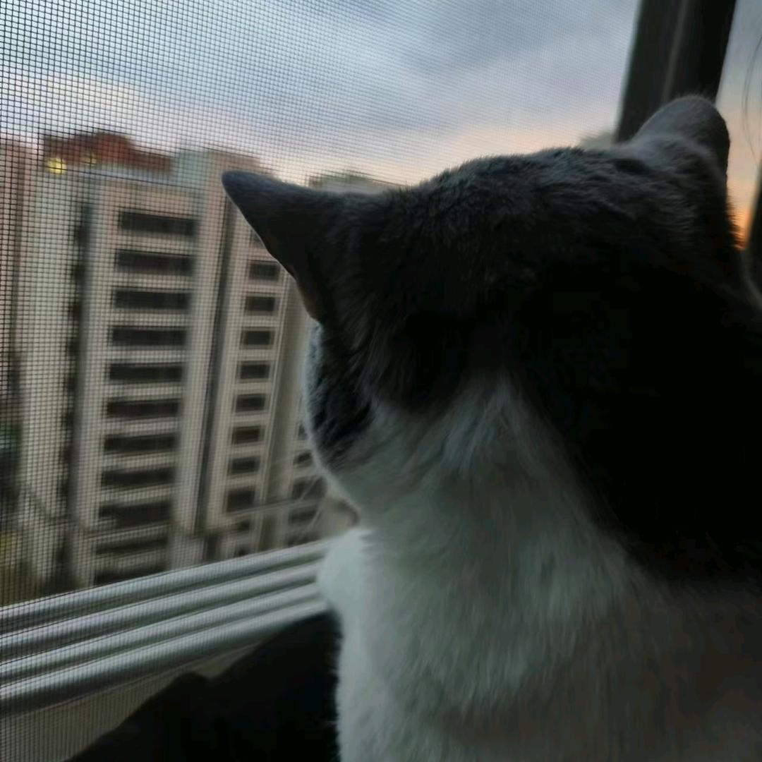 小草