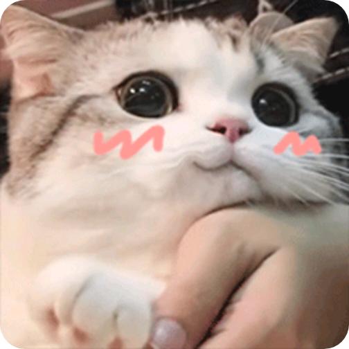 吖卟