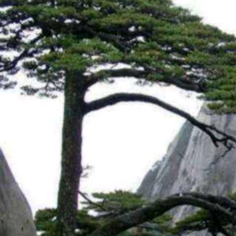 潇潇洒洒闯天下