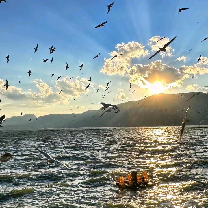 英子推酒旅