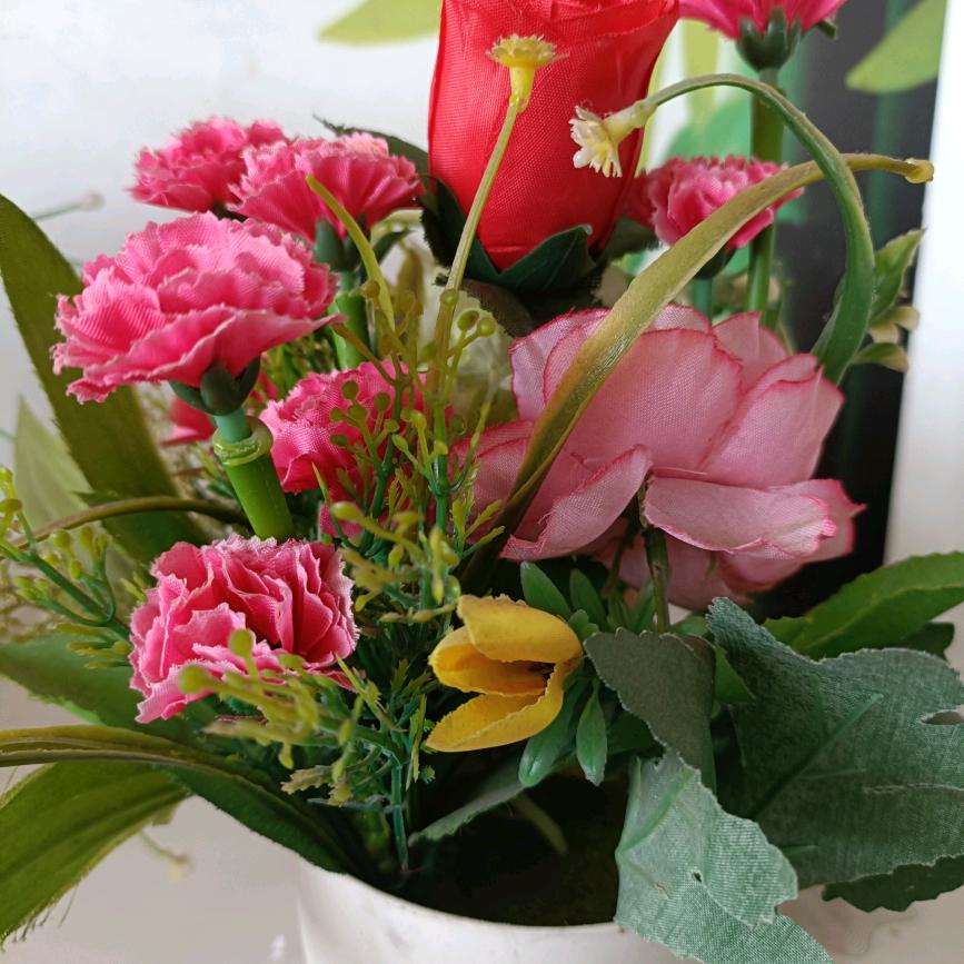 张姐老年娱乐中心