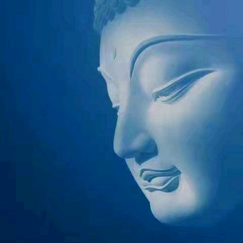 🦋五蕴皆空🦋