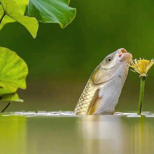 通能新能源正阳修复中心