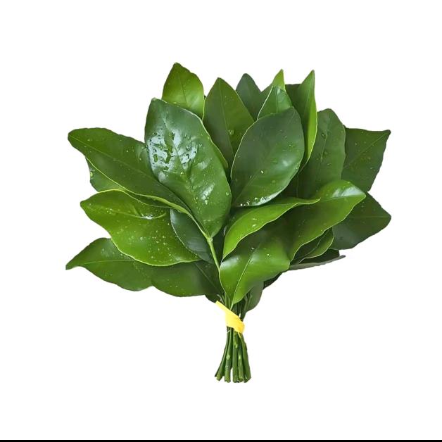 小顿顿吖