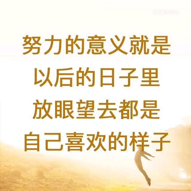 承满体验官V1P318飘飘的云