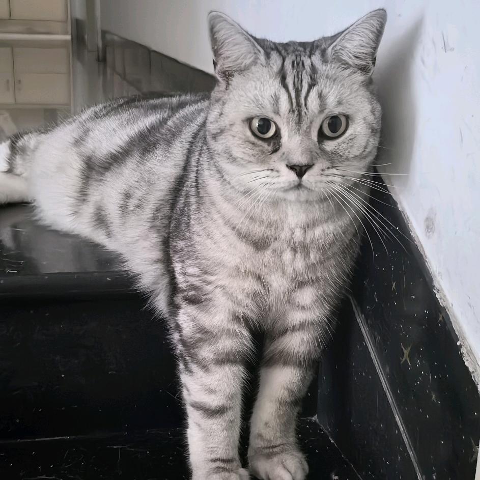 用户277551629
