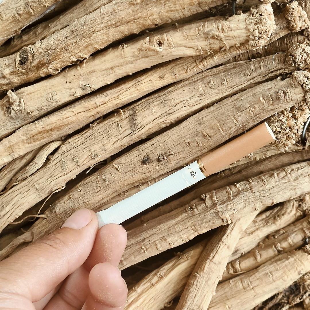 自家种植党参党归黄芪