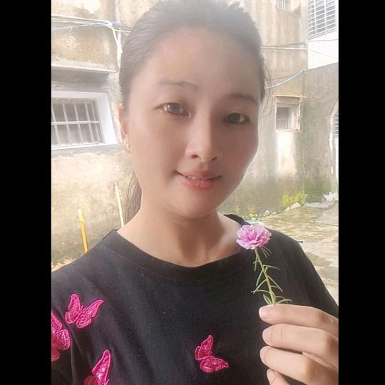 东信宝电脑绣花